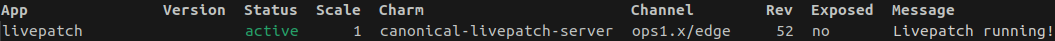 livepatch-status|800x31